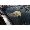 image:imageRainX 45078X Microfiber Window Mate Defog Sponge Beige  Pack