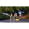 image:imageRainX 630178 CeramiX Glass Cleaner  Water Repellent 16oz  Cleaning Effectively While Remaining Streak Free Protecting Against Contaminants and Stains16 Fl Oz Pack of 1