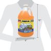 image:imageRainX All Season 0F 2in1 DeIcer amp Bug Remover Windshield Washer Fluid  1 Gallon Pack of 6128 Fl Oz Pack of 6