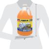 image:imageRainX All Season 25F 2in1 DeIcer amp Bug Remover Windshield Washer Fluid  1 Gallon1 Pack