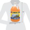 image:imageRainX All Season 25F 2in1 DeIcer amp Bug Remover Windshield Washer Fluid  1 Gallon6 Pack