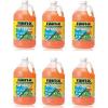 image:imageRainX All Season 0F 2in1 DeIcer amp Bug Remover Windshield Washer Fluid  1 Gallon Pack of 6128 Fl Oz Pack of 1