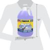 image:imageRainX 30F Extreme Temperature DeIcer Windshield Washer Fluid  1 Gallon Pack of 66 Pack